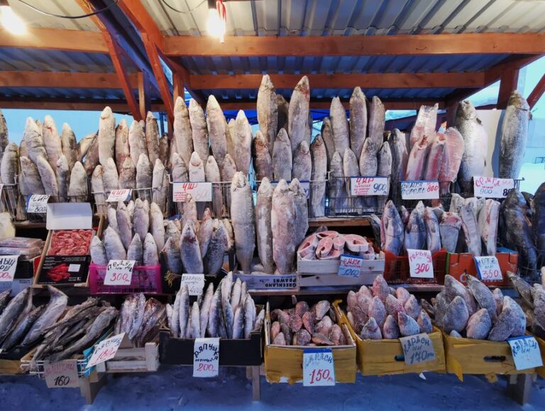 Bisnis Frozen Food Rumahan: Peluang Usaha Modal Kecil yang Menjanjikan
